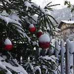 Panzió Wohlfuehlpension Tirolerhof 3*