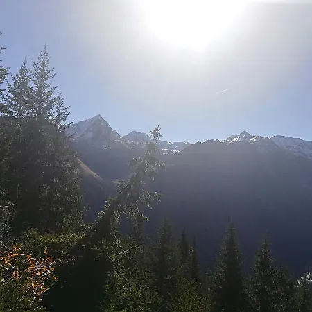 Wohlfuehlpension Tirolerhof Отель типа 